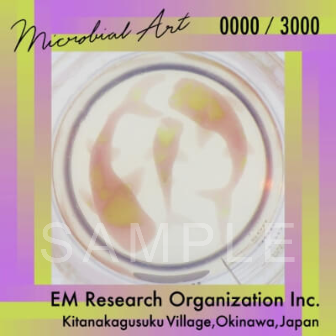 NFT Microbial Art is Now Available at our NFT Marketplace!