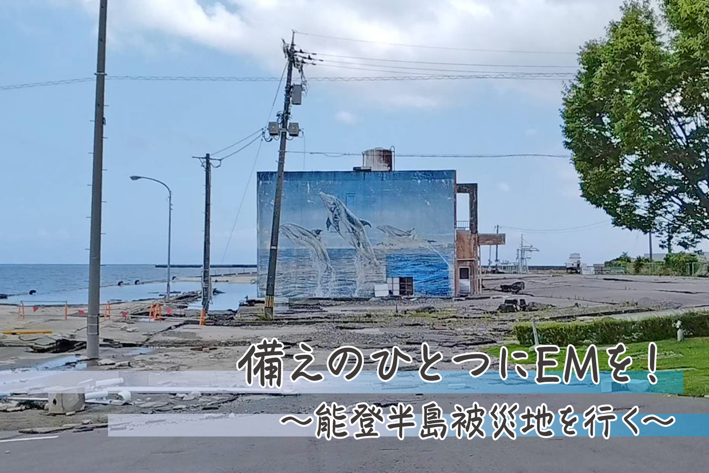 【Case Study】EM Measures for Earthquake Disaster Recovery in Western Japan