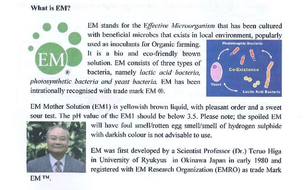 Prof. Higa in Educational School Textbooks  