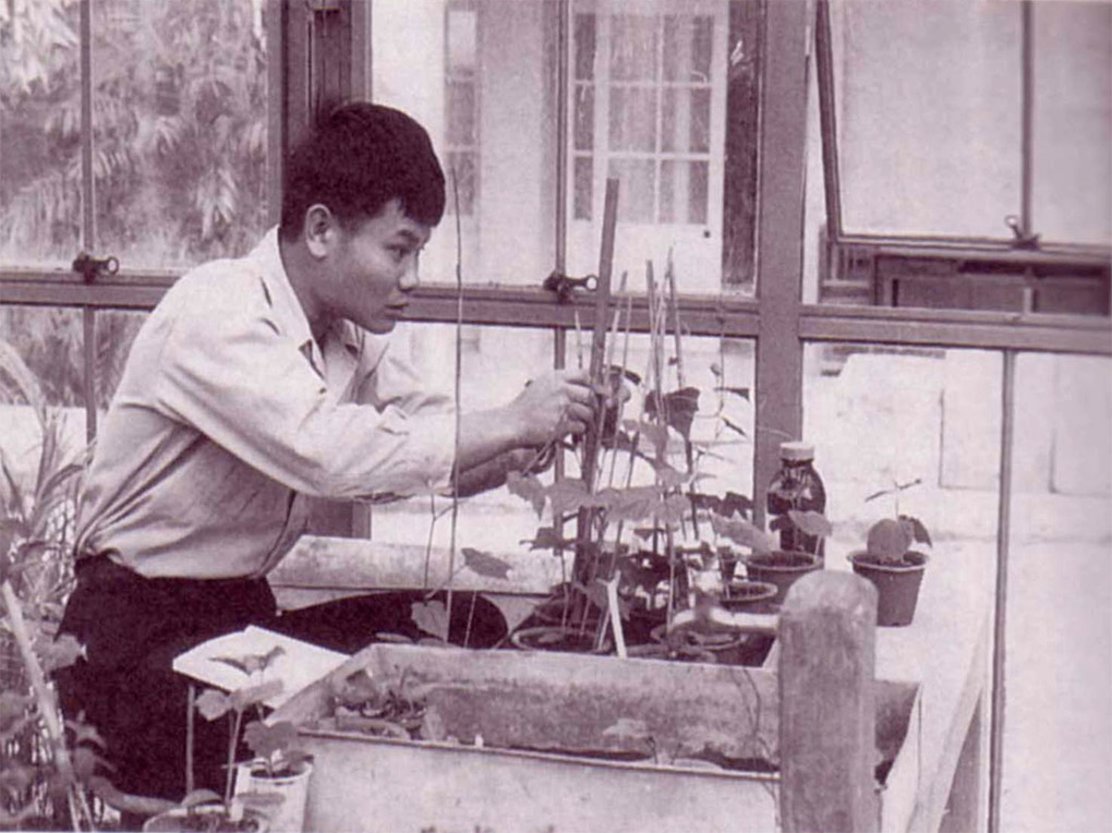 Dr.Higa in his early days